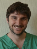 Dr. Simone Albisinni